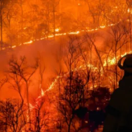 Firefighters Fighting a Wildfire