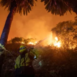 Firefighters battle the Eaton fire. Credit: Ringo Chiu.