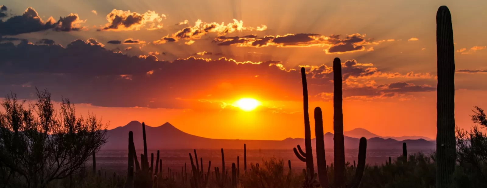 Tucson, Arizona