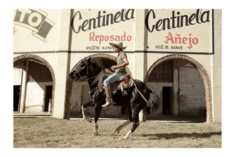 Embodying the spirit of the countryside, the charro is a skilled horseman and custodian of Mexican traditions. Here, a young rider showcases his horsemanship in front of a Centinela tequila ad in Arandas, Jalisco, considered the cradle of charro culture in Mexico.