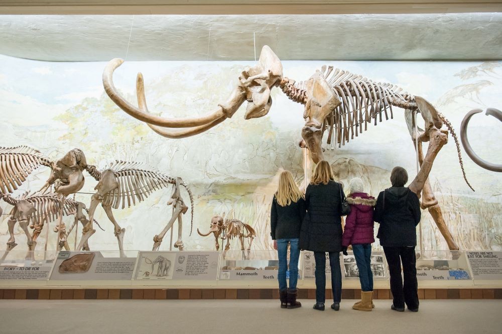 Morrill Hall in Lincoln, Nebraska