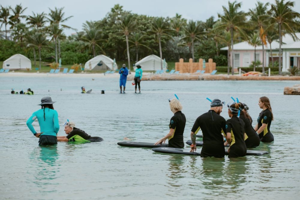 Attendees swimming with dolphins at Dolphin Cay at Atlantis Paradise Island Bahamas