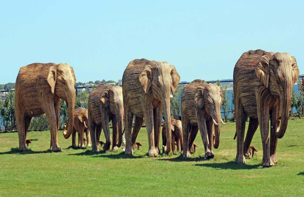 The Great Elephant Migration on Newport's Cliff Walk.