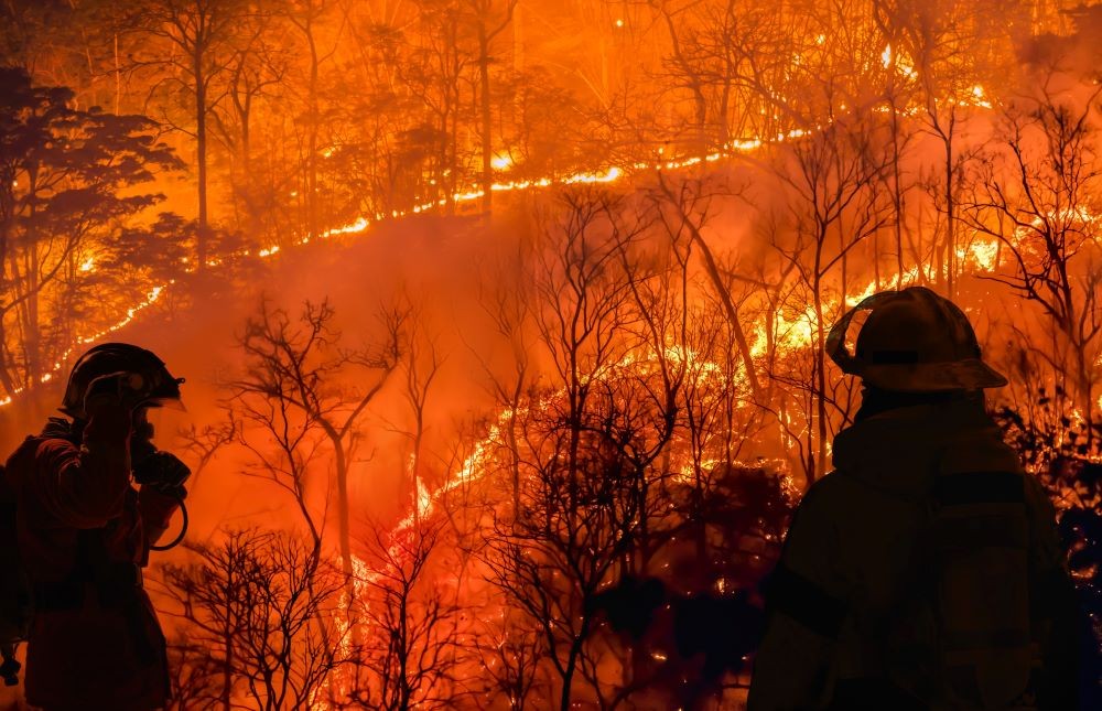 Firefighters Fighting a Wildfire